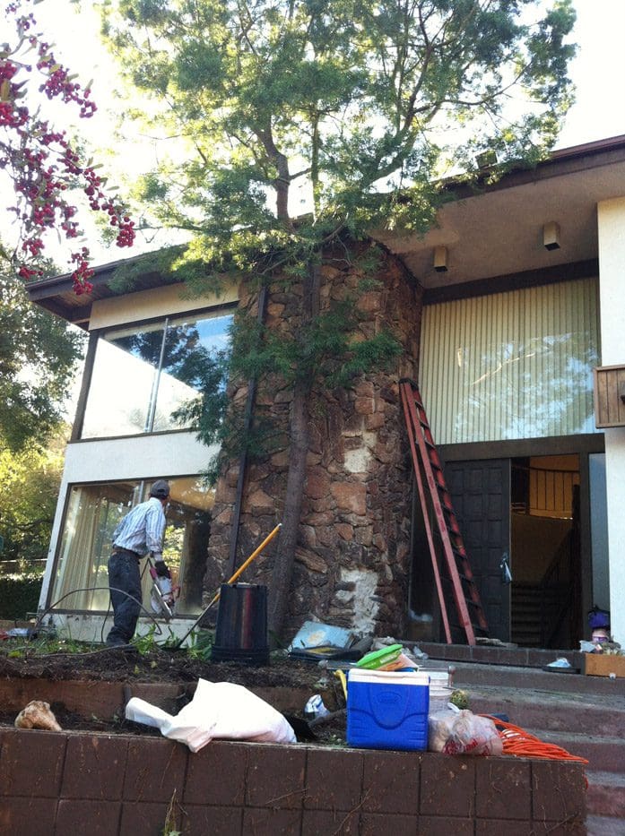 A man standing next to a tree in front of a house.