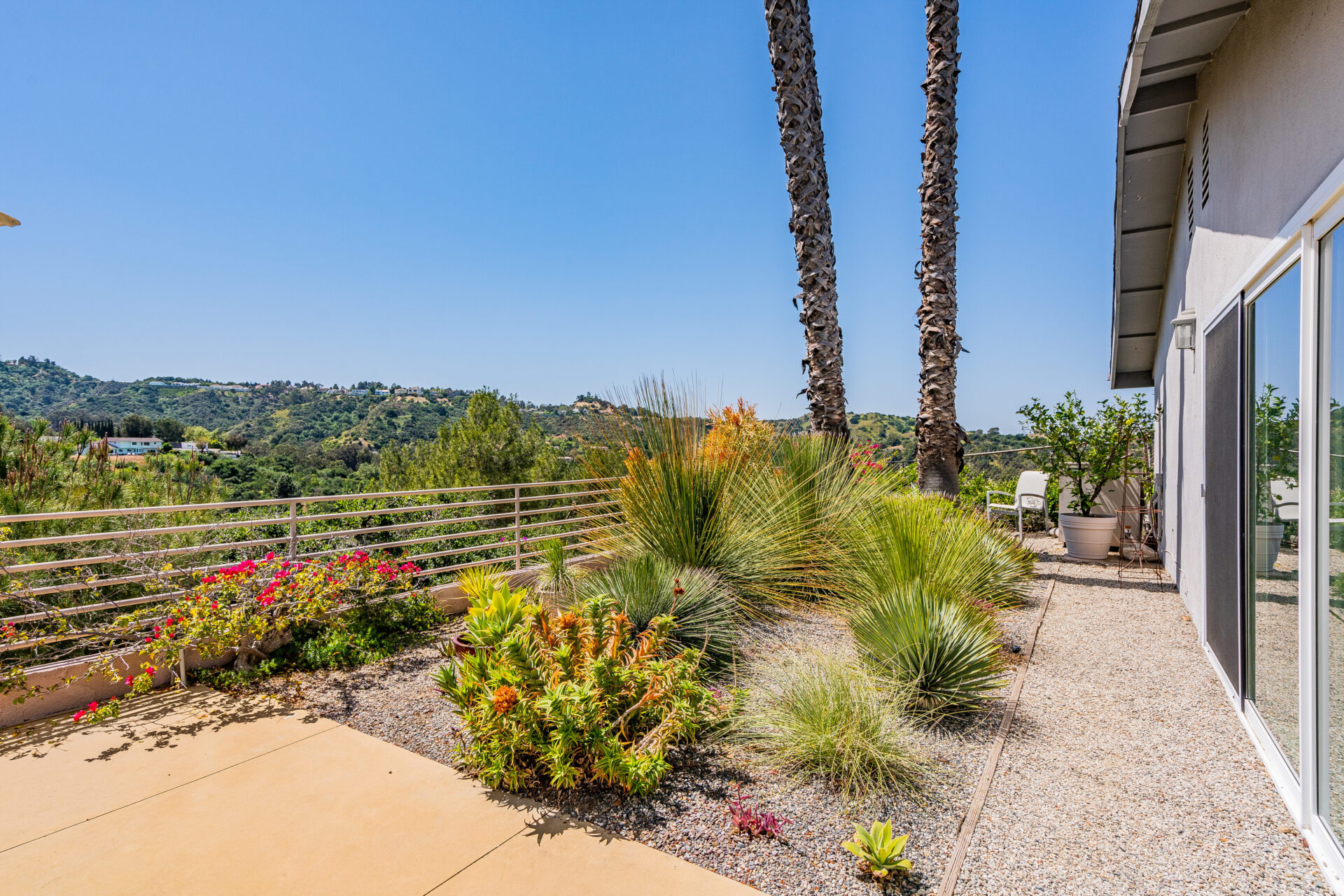 A garden with many plants and trees in the background.