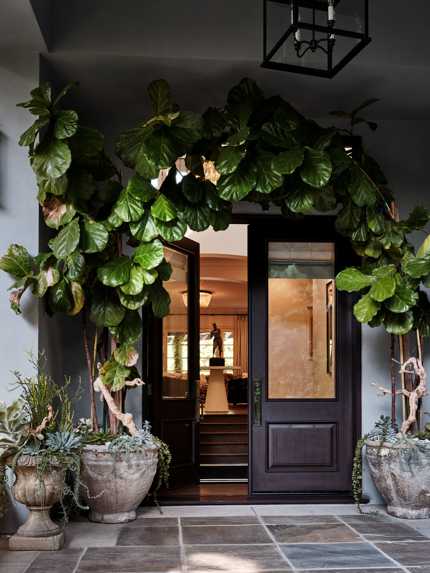 A door way with plants growing in it.