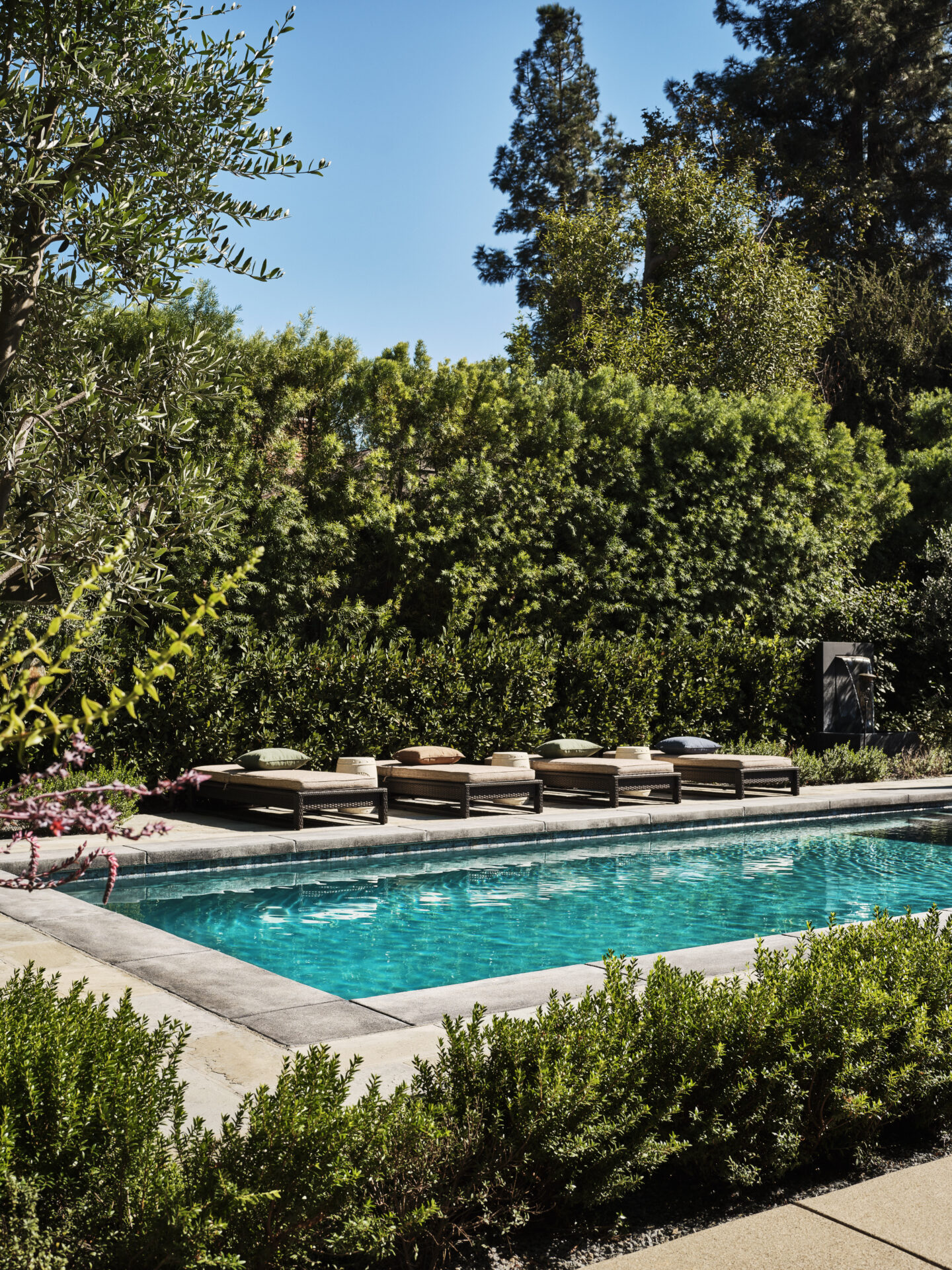 A pool with chairs and trees in the background.